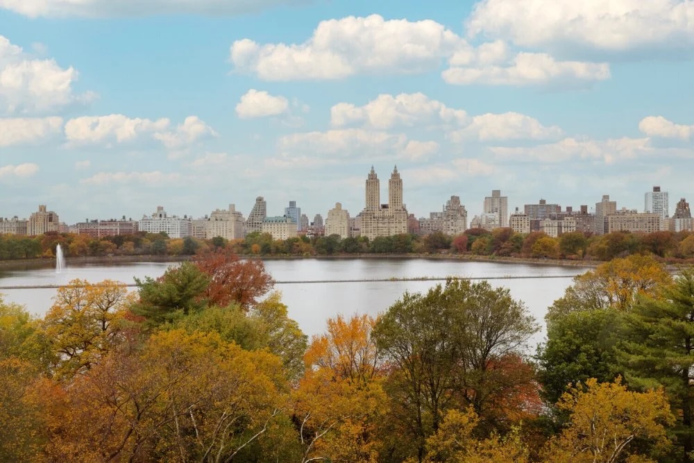 1107 Fifth Avenue apartment