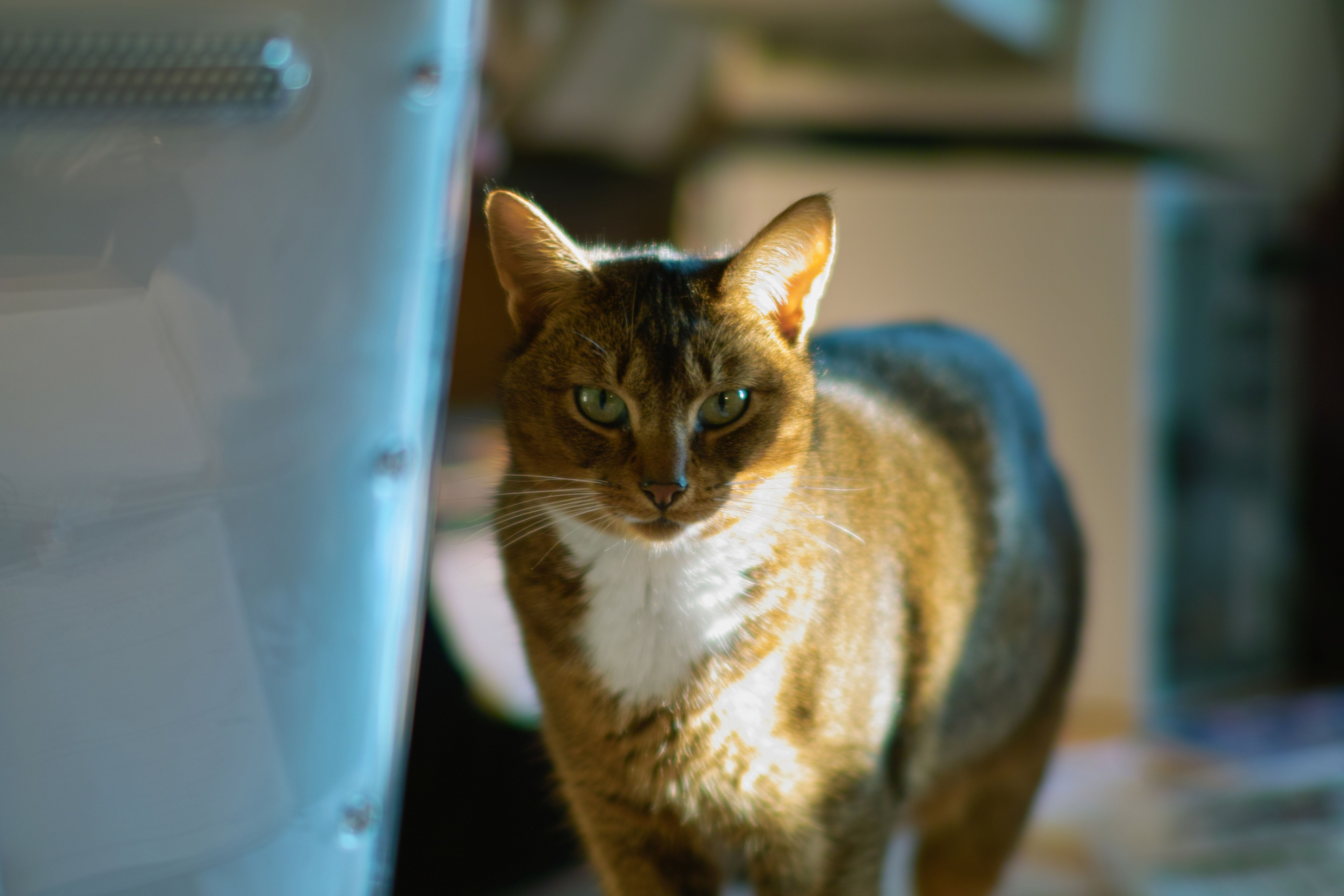 Image Quality picture taken with Sigma Foveon Sensor