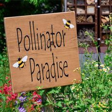 Sign in garden that reads 'pollinator paradise'