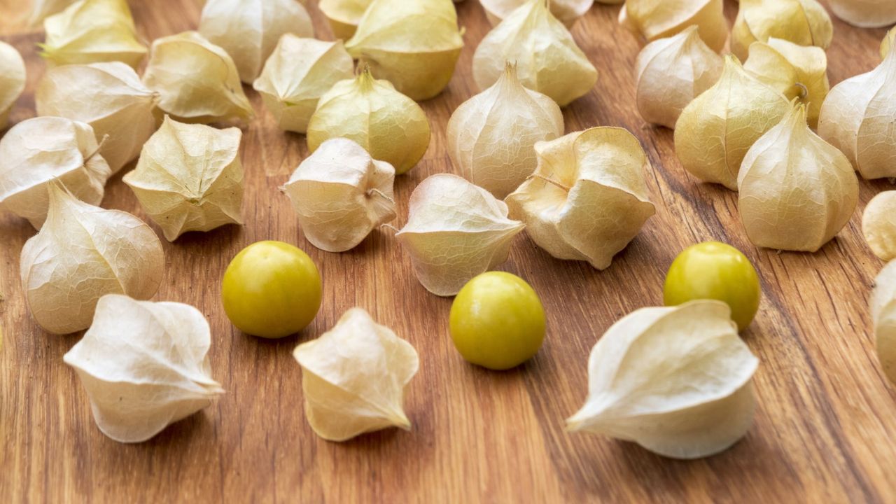 Physalis pruinosa fruits on a wooden surface