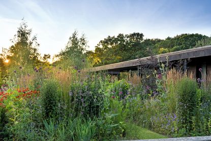 The garden at The Copper House in Cranbrook 