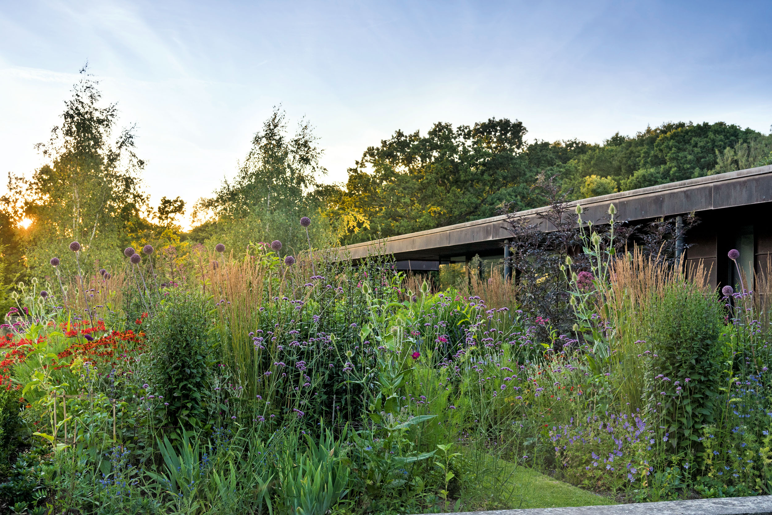 The garden at The Copper House in Cranbrook 
