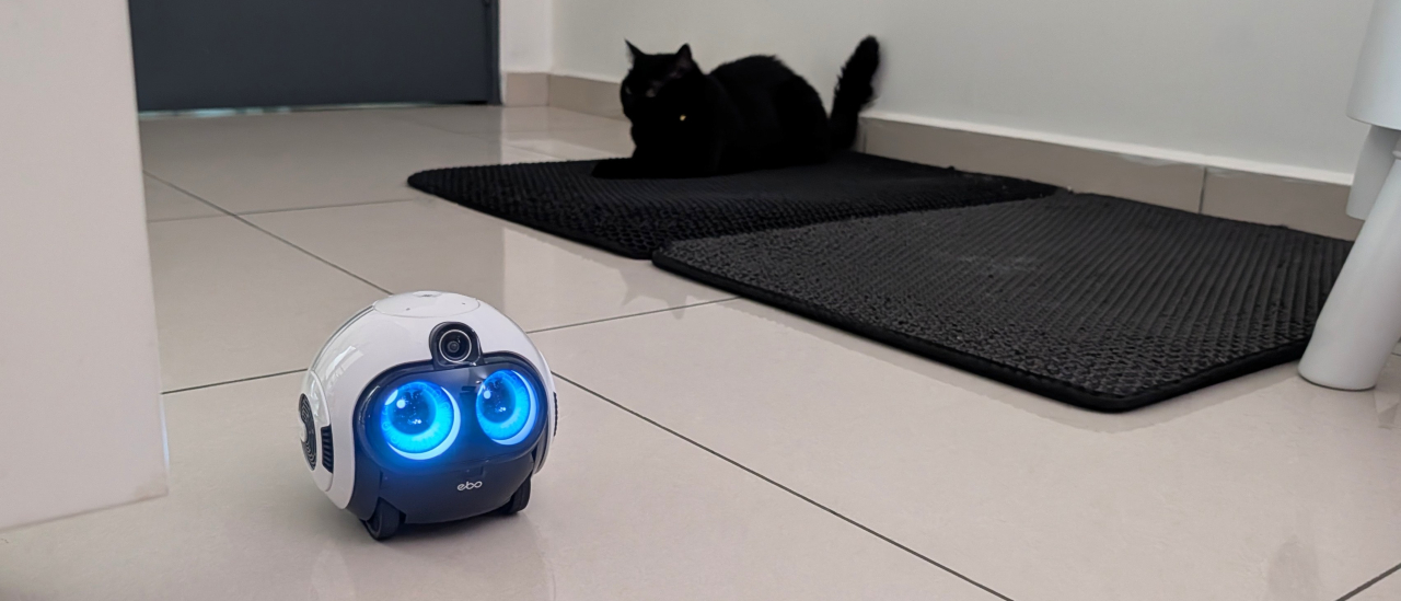 Enabot EBO Max family bot and a black cat in a house