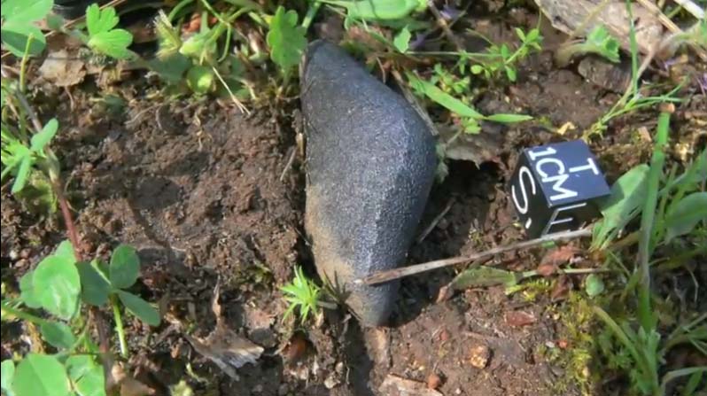 A close-up of the Sutter's Mill Meteorite, a fragment from a daytime fireball that exploded over parts of California and Nevada on April 22, 2012. This fragment was discovered in a horse pasture in outside of Lotus, Calif.