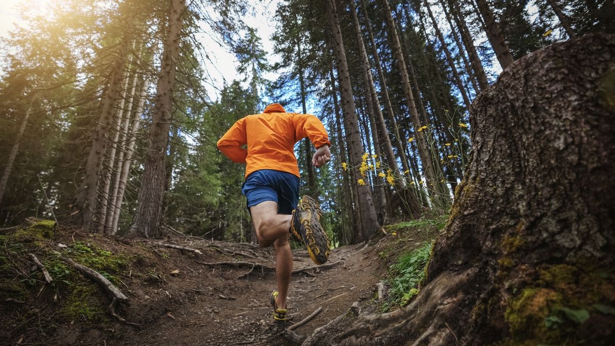 trail runner from rear in woodlands