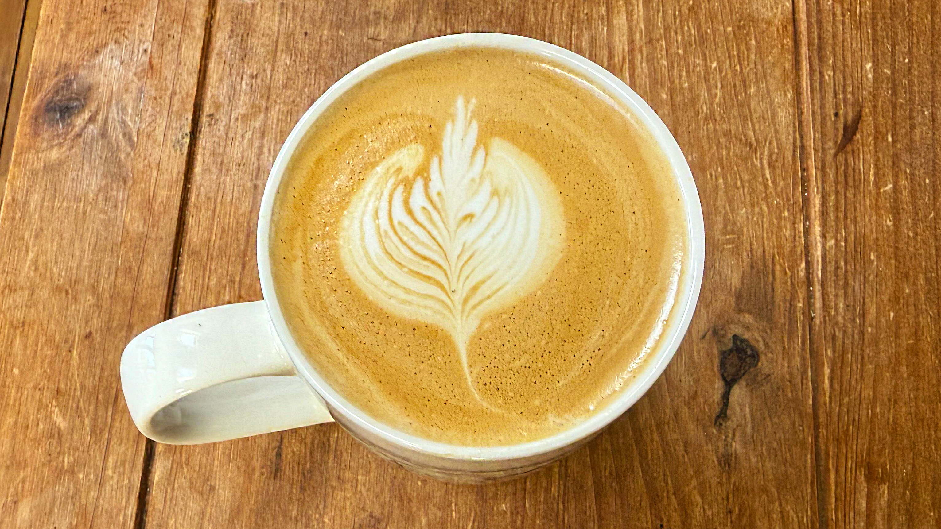 a milk latte made on the breville oracle dual boiler sage oracle dual boiler espresso machine