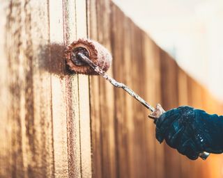 Staining a brand new fence with a roller