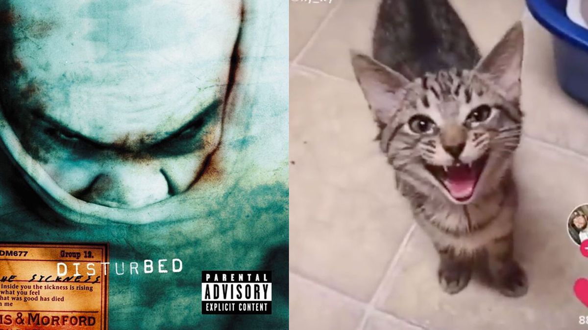 A montage of the TikTok kitten and disturbed artwork