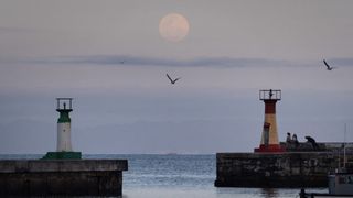 full moon rising over water with several birds flying in the sky.