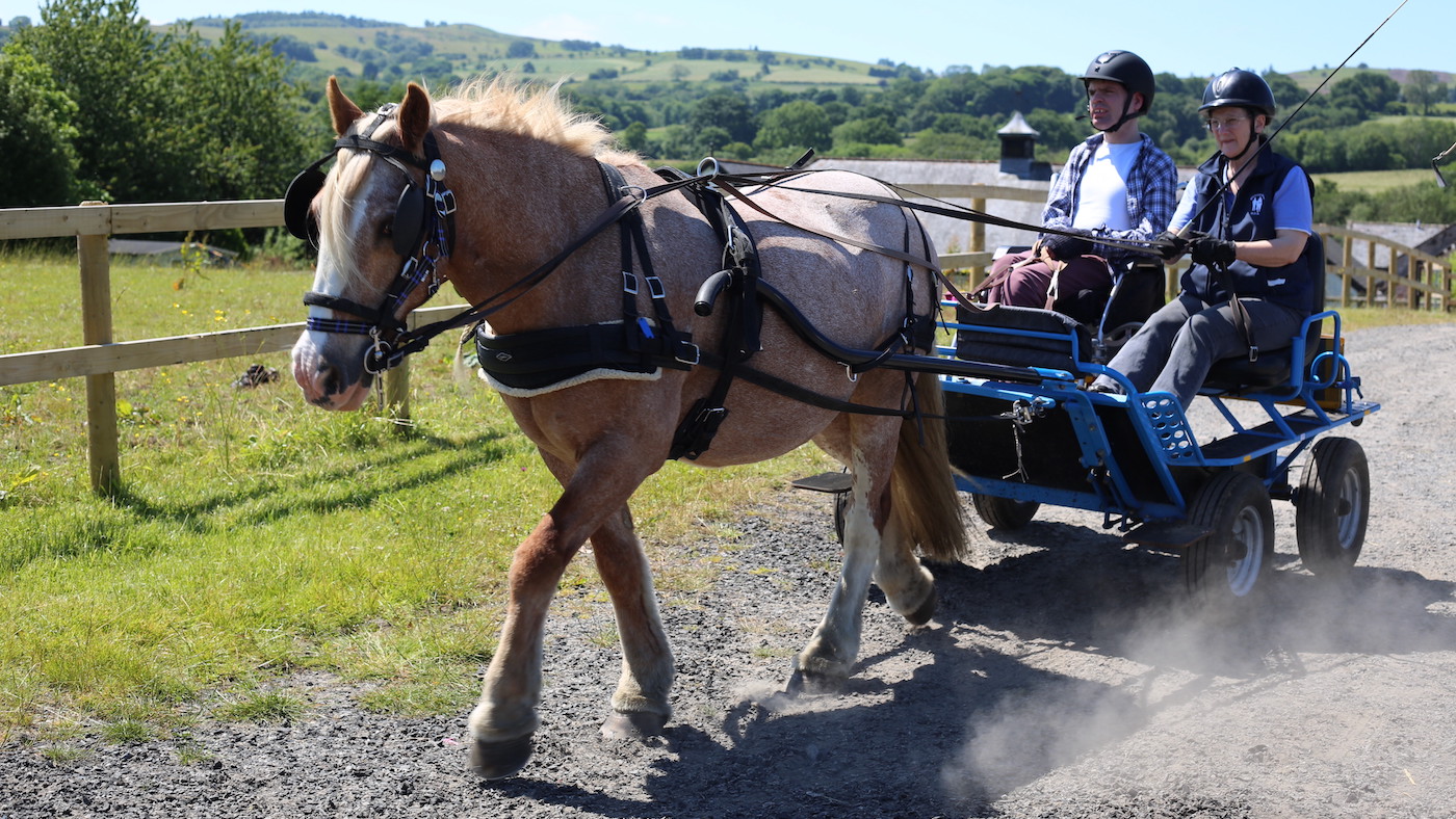 Clwyd Special Riding Centre has been given a lifeline to keep the gates open for now &ndash;&nbsp;but is in urgent need of more help.