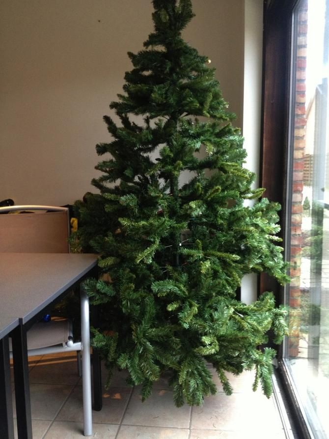A Christmas tree is part of the festivities at Euro 'Cross Camp