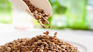 lentils being poured from a scoop