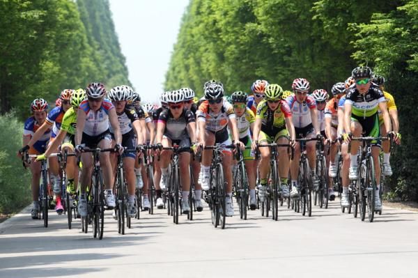 A warm, sunny day for the bunch