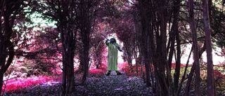 Julian Cope: Friar Tuck cover art