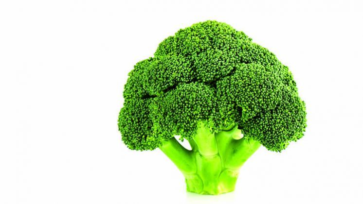 Broccoli 