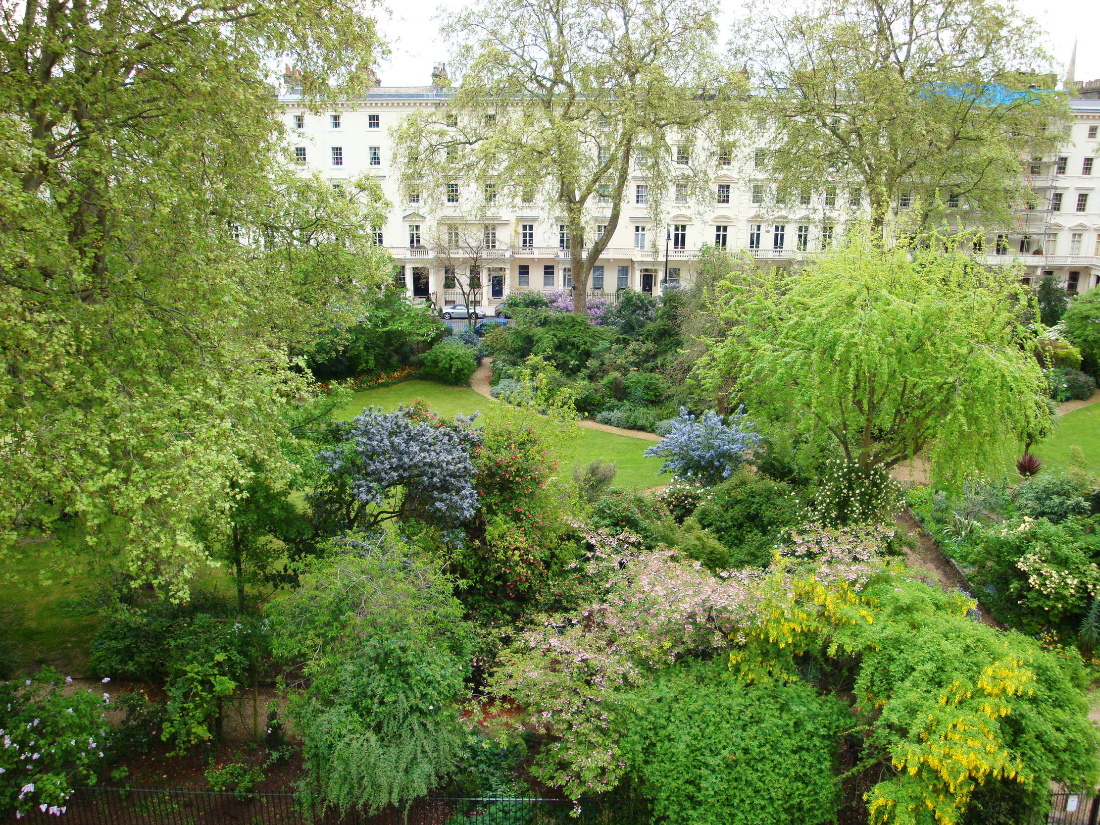 Eccleston Square is an oasis of intriguing planting.