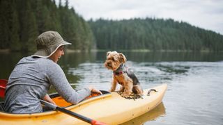 Dog sitting on kayak