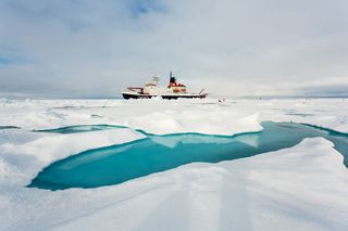 Arctic Sea Ice