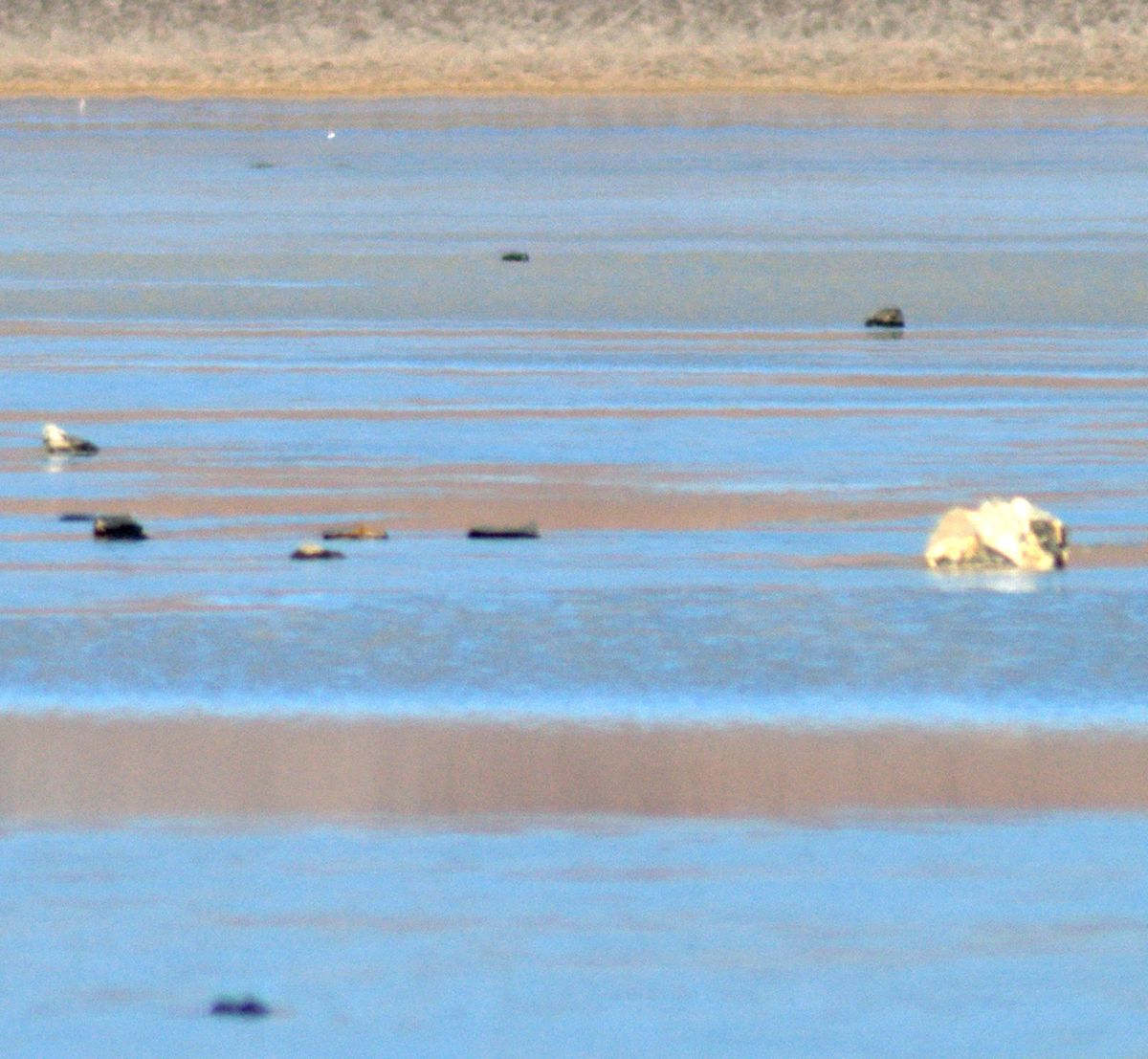 Image Gallery: How Ice Drives Death Valley's Sailing Stones | Live Science