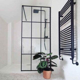 bathroom white tiles and wall with potted plants and iron racks