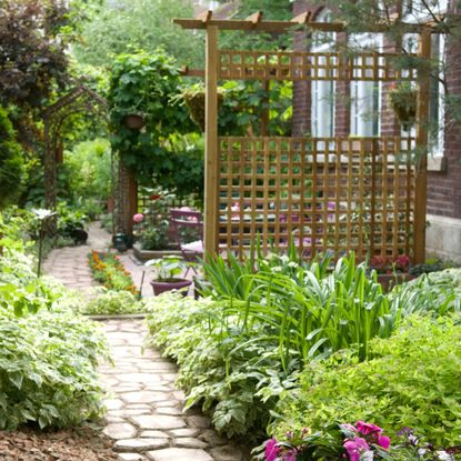front garden with trellis