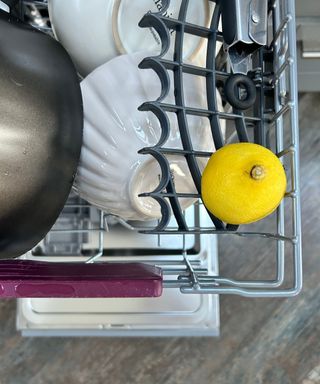 Lemon half in the top shelf of the dishwasher with a bowl underneath