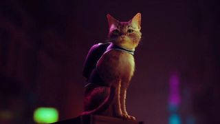 A cat wanders neon streets in Stray
