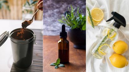 A split header image featuring coffee grounds, peppermint oil, and lemon and vinegar spray 
