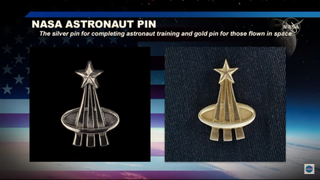 The silver pin is awarded to astronauts upon completion of basic training when they graduate into NASA's astronaut corps. The silver pin is switched out for a gold pin upon completion of their first spaceflight.