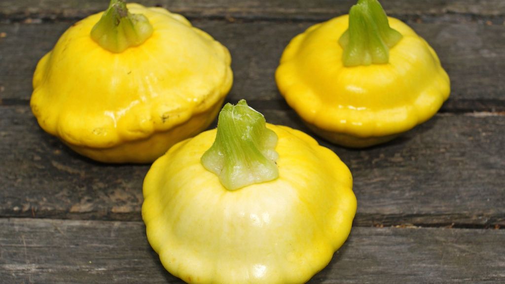 Three flat yellow squashes