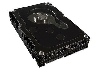 There are two 150 GB Western Digital Raptor X hard drives. The 10,000 rpm drives are considered to be currently the fastest hard drives available.