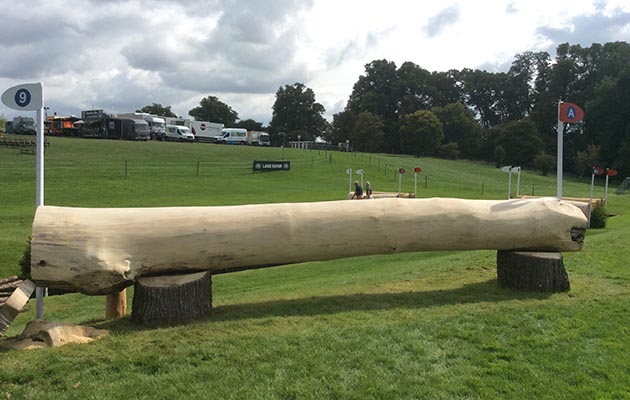 Burghley-2018-Discovery-Valley-fence9A