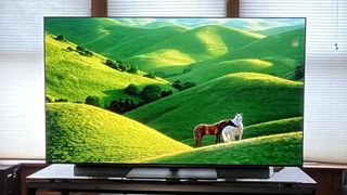 TV showing image of green landscape with horses