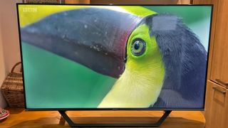 Hisense A7G review with a toucan on a TV screen