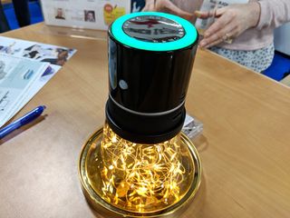 Zocus