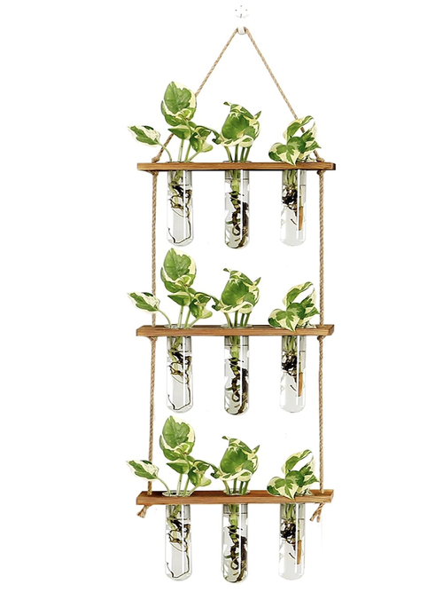 Wall Hanging Propagation Station