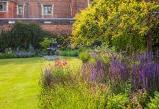 The new planting in the Provost's Garden at Eton School, echoed in other areas. Credit: Clive Nichols