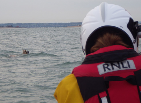 RNLI_HorseSwim2