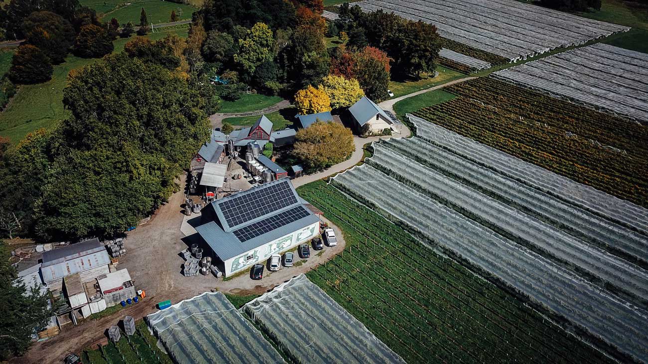 Solar panels on the roof at Neudorf Vineyards.