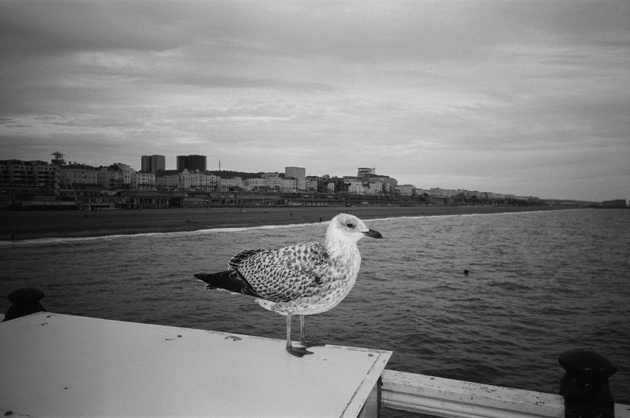 Kodak Snapic A1 sample image