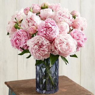 Pink peony bouquet from 1-800-Flowers