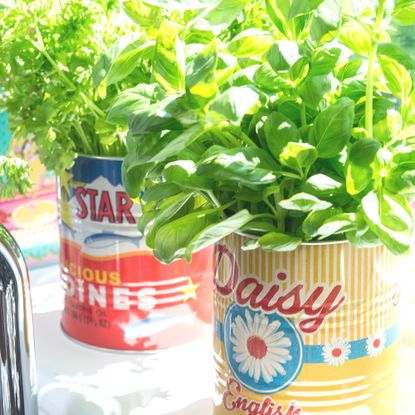 Herb garden ideas for a cook’s garden you’ll actually use | Ideal Home