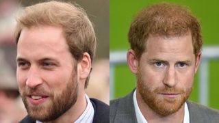 Prince William and Prince Harry with beards