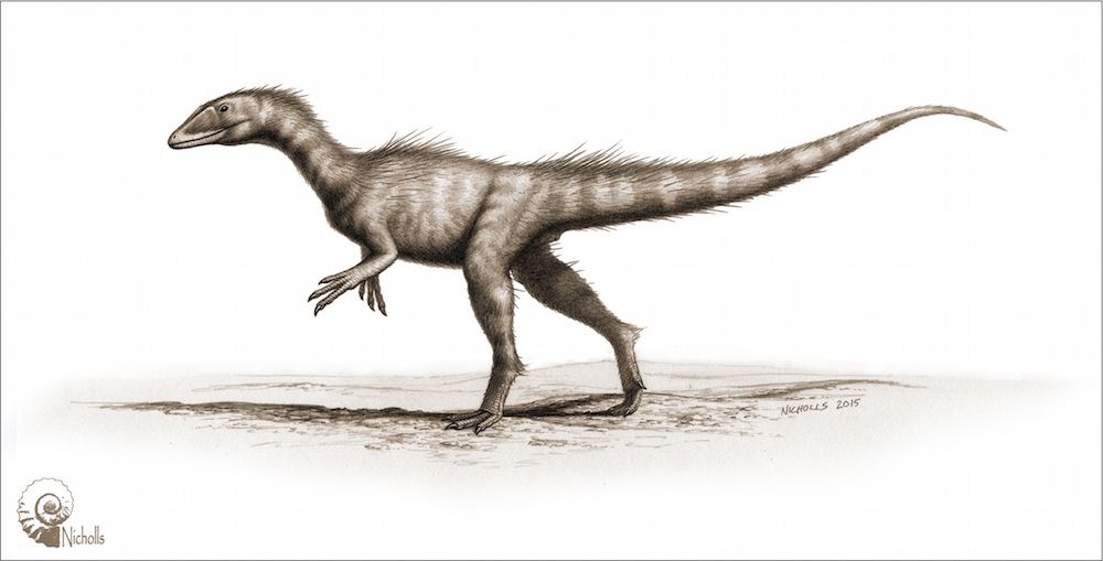 jurassic theropod