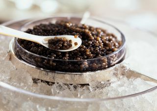 Caviar in bowl resting on ice with white spoon