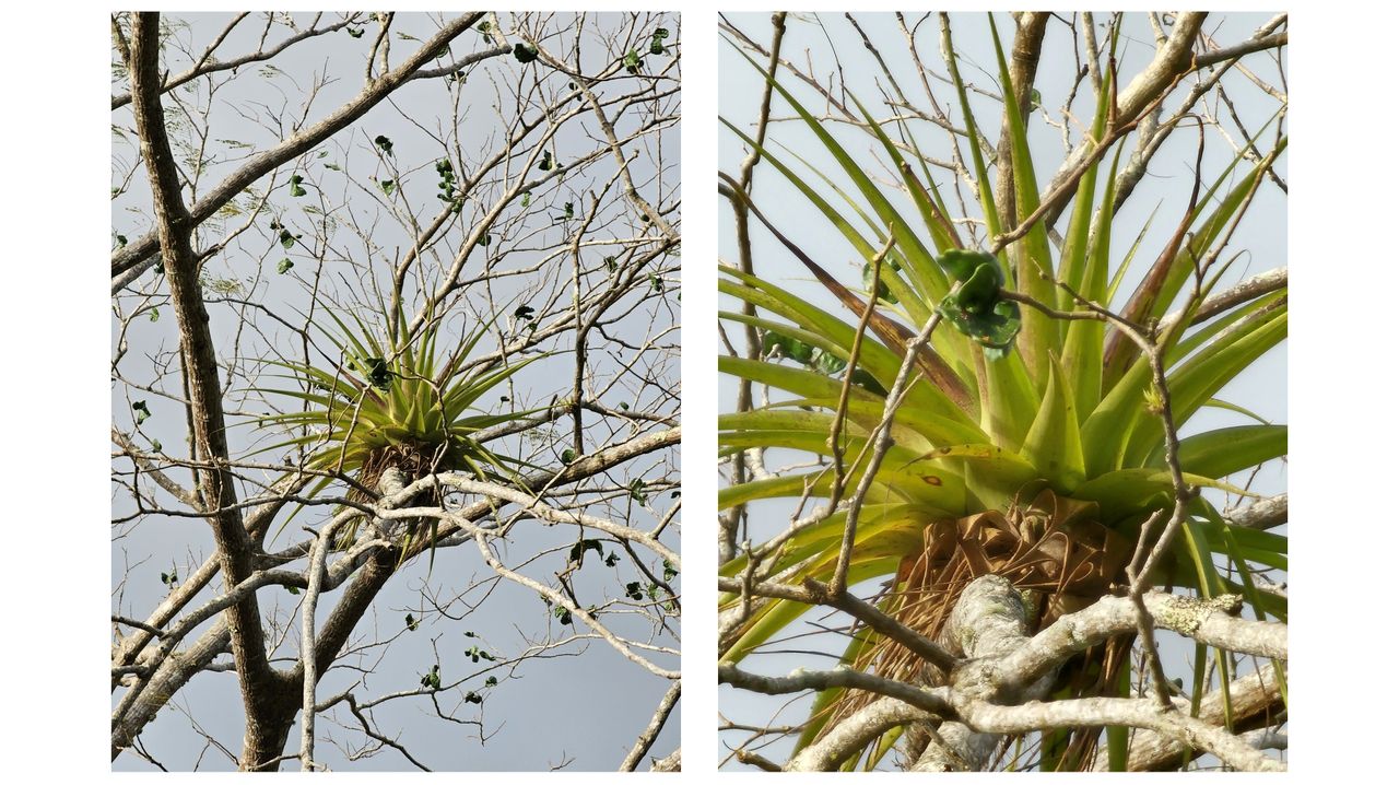 A leaked Samsung Galaxy S23 Ultra camera sample