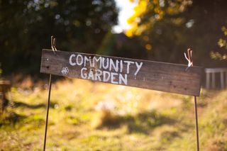 An allotment with the sign 'Community Garden'