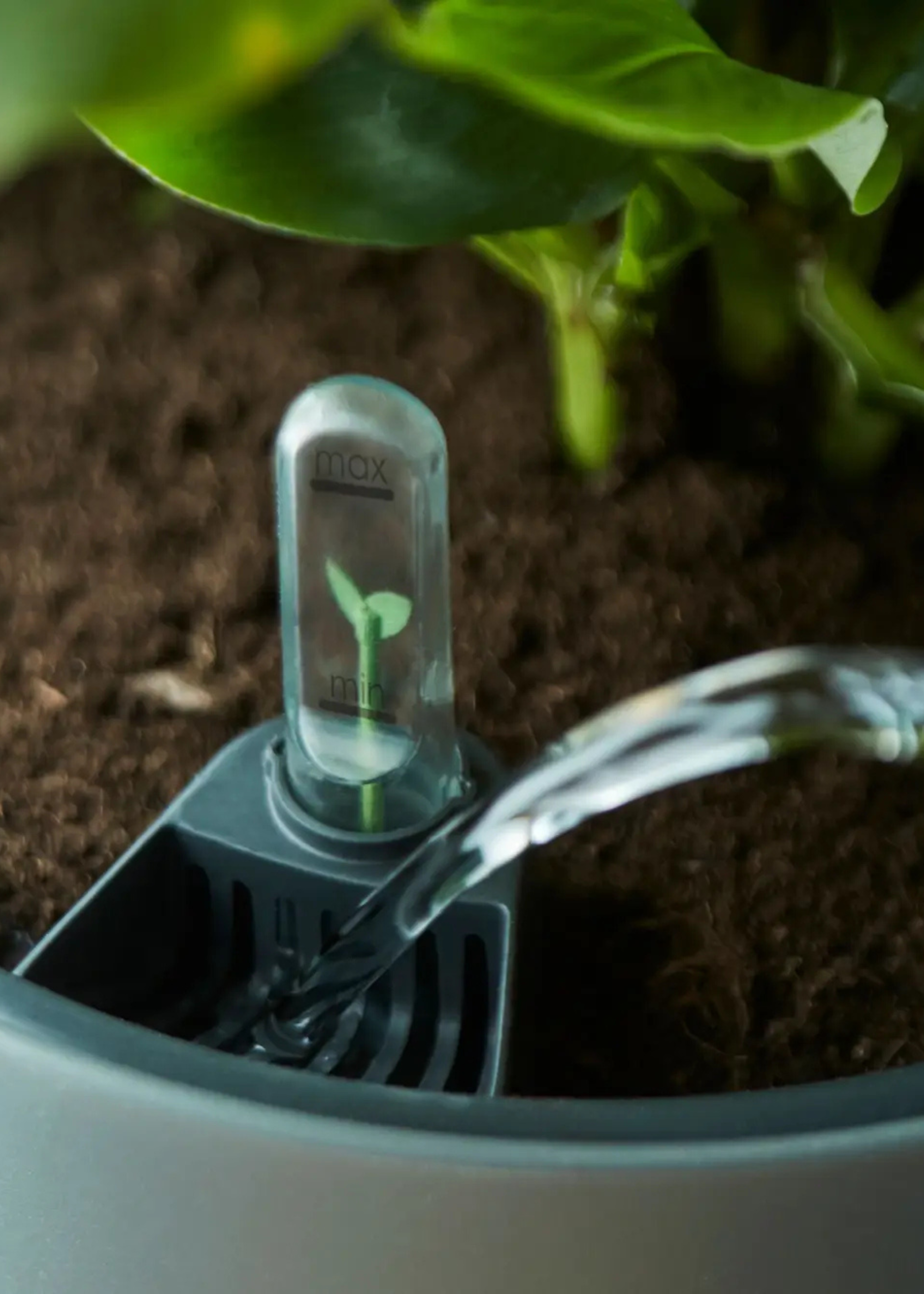 A close-up of a self-watering insert from Beards &amp; Daisies