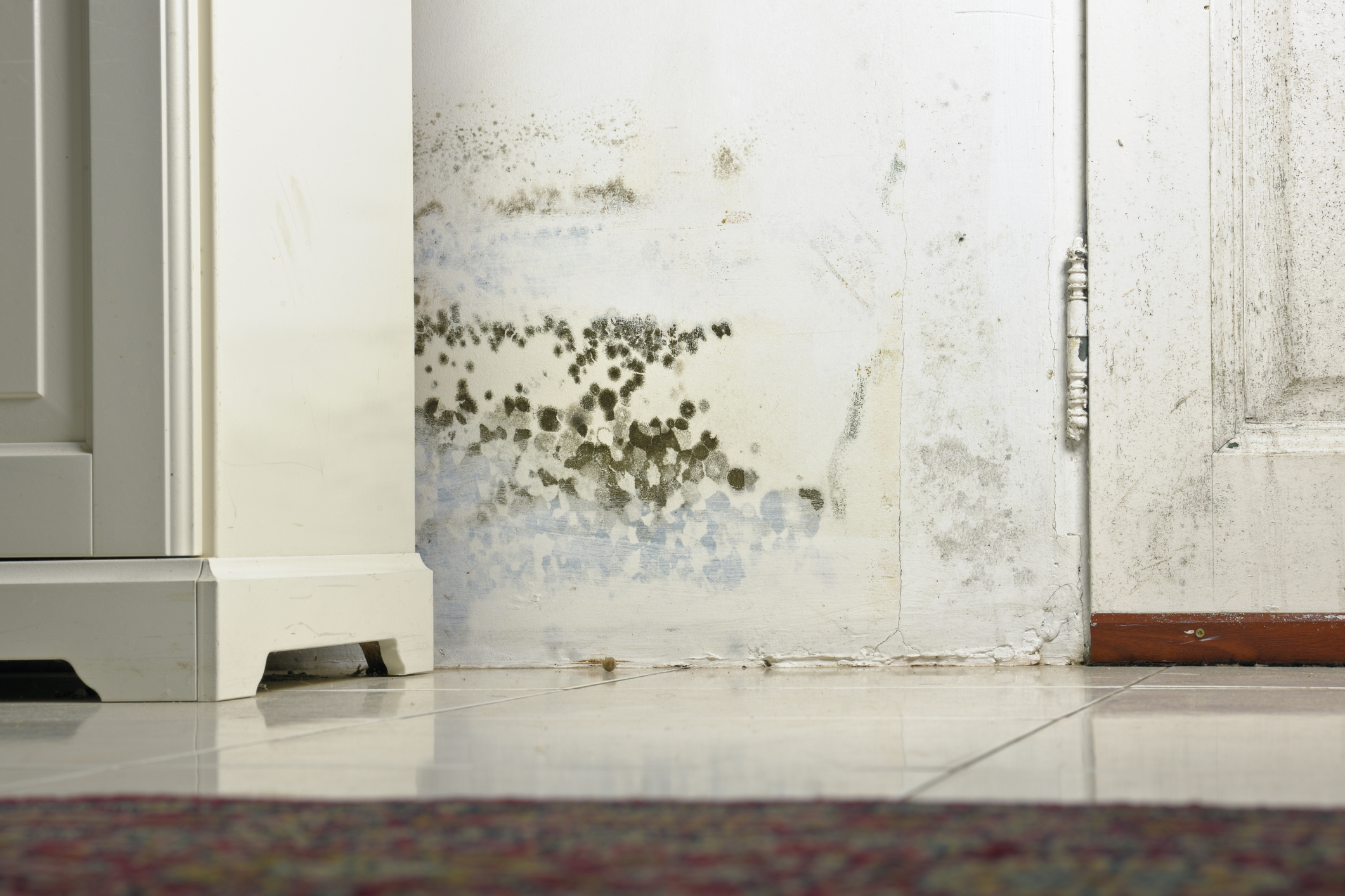 How to Treat Damp  Homebuilding