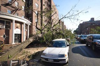 nyc-storm-damage-100917-02
